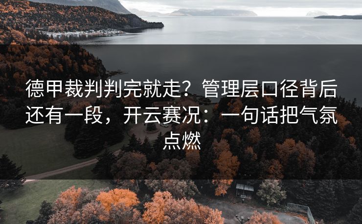 德甲裁判判完就走？管理层口径背后还有一段，开云赛况：一句话把气氛点燃