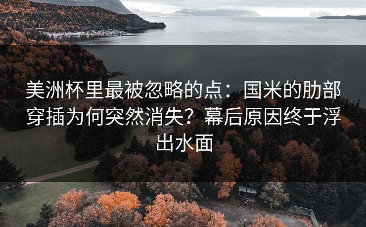 美洲杯里最被忽略的点：国米的肋部穿插为何突然消失？幕后原因终于浮出水面