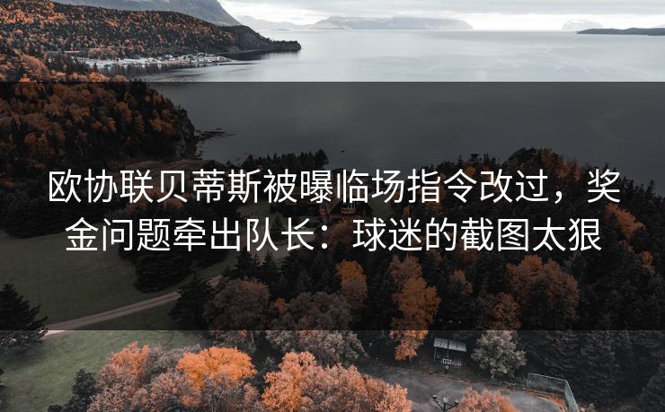 欧协联贝蒂斯被曝临场指令改过，奖金问题牵出队长：球迷的截图太狠